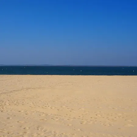 T2 Proche Centre Avec Terrasse Et Parking Sous-terrain - Fr-1-474-11 Апартаменты Аркашон