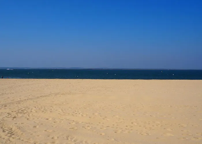 T2 Proche Centre Avec Terrasse Et Parking Sous-terrain - Fr-1-474-11 アパート アルカション